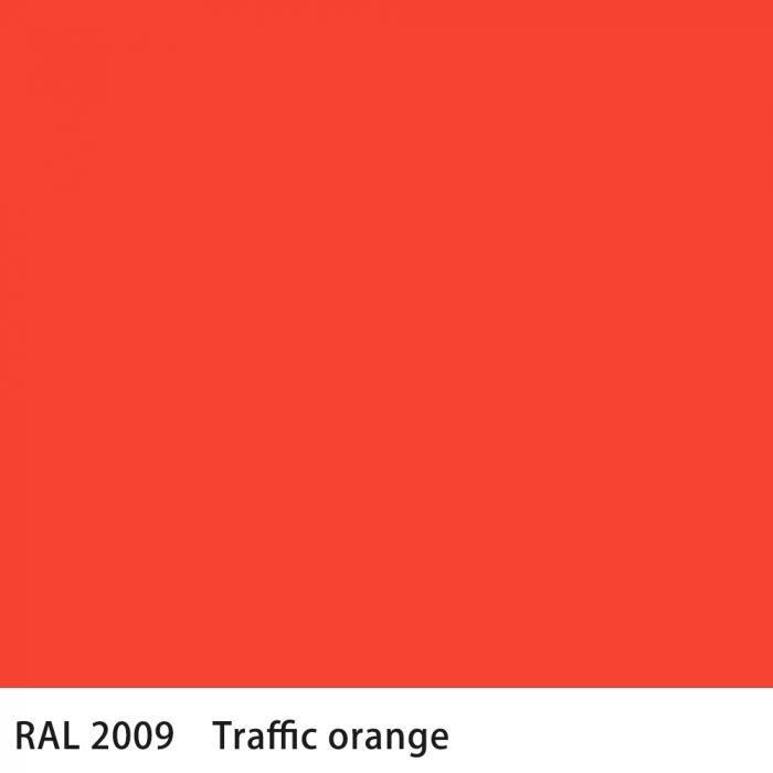   RAL 2009