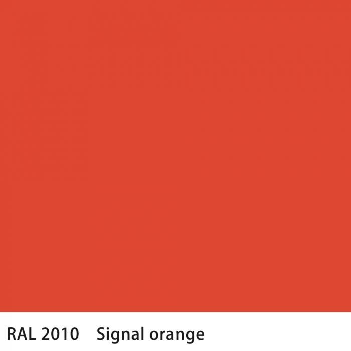   RAL 2010