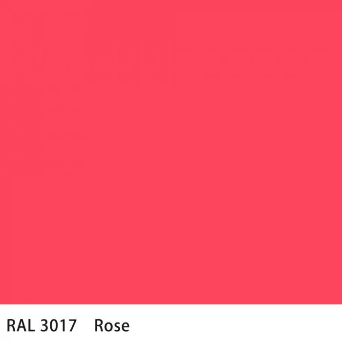   RAL 3017