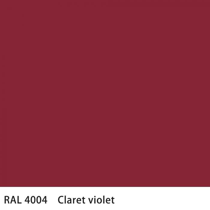   RAL 4004