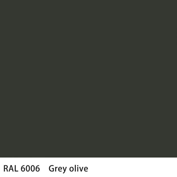   RAL 6006