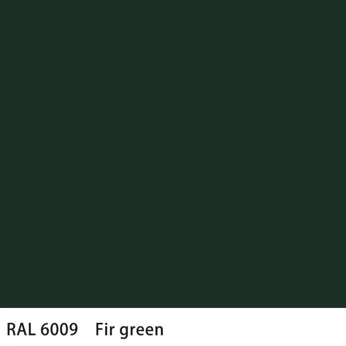   RAL 6009