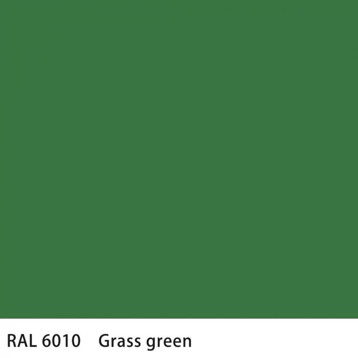   RAL 6010