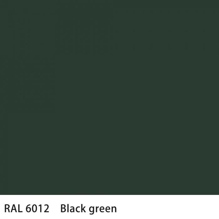   RAL 6012