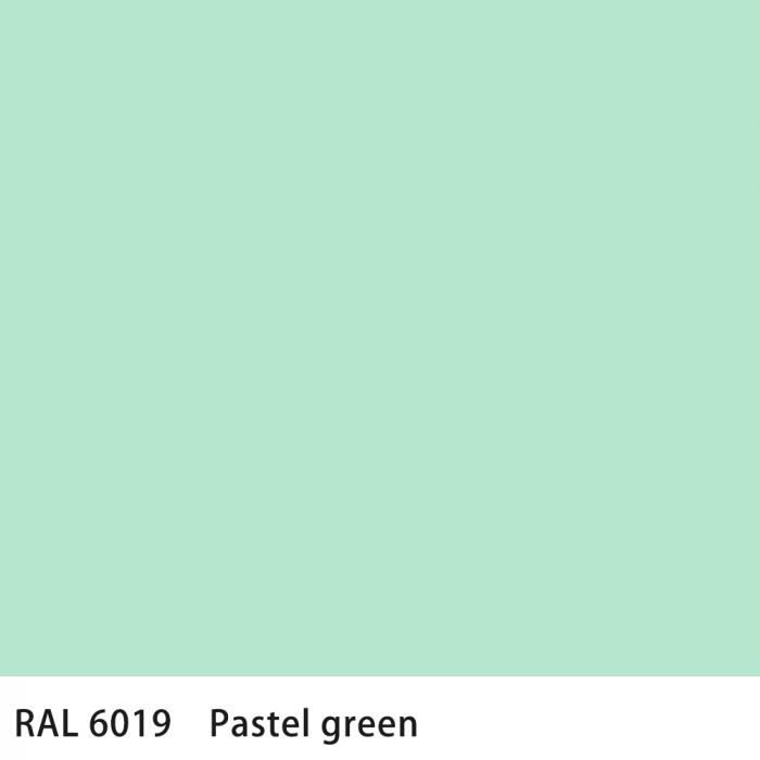   RAL 6019