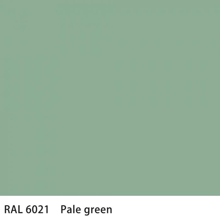   RAL 6021