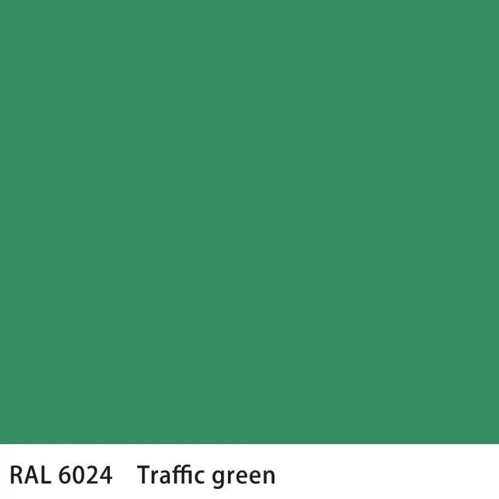   RAL 6024