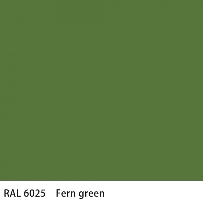   RAL 6025