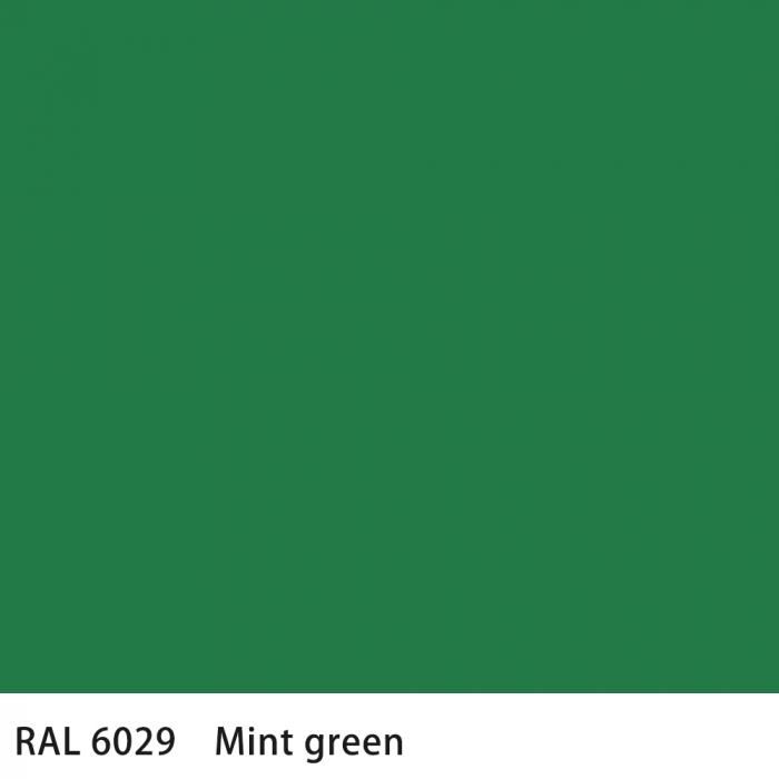   RAL 6029