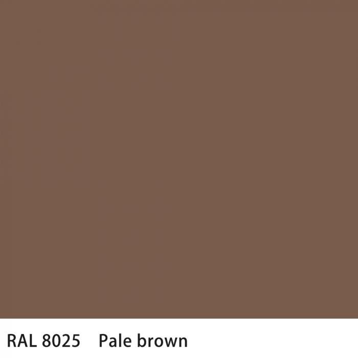   RAL 8025