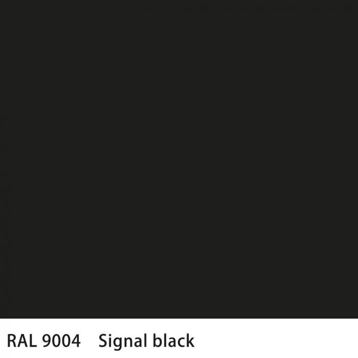   RAL 9004