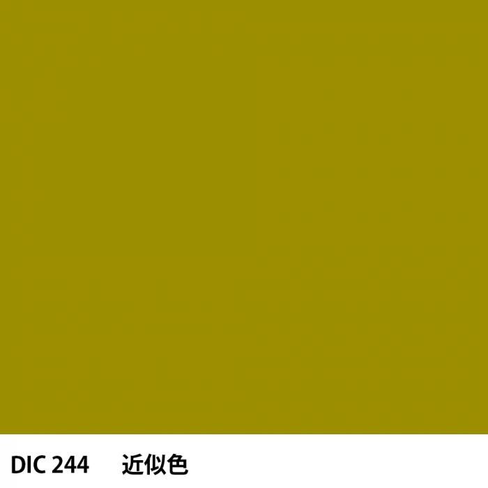  DIC 244 