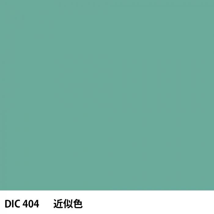  DIC 404 