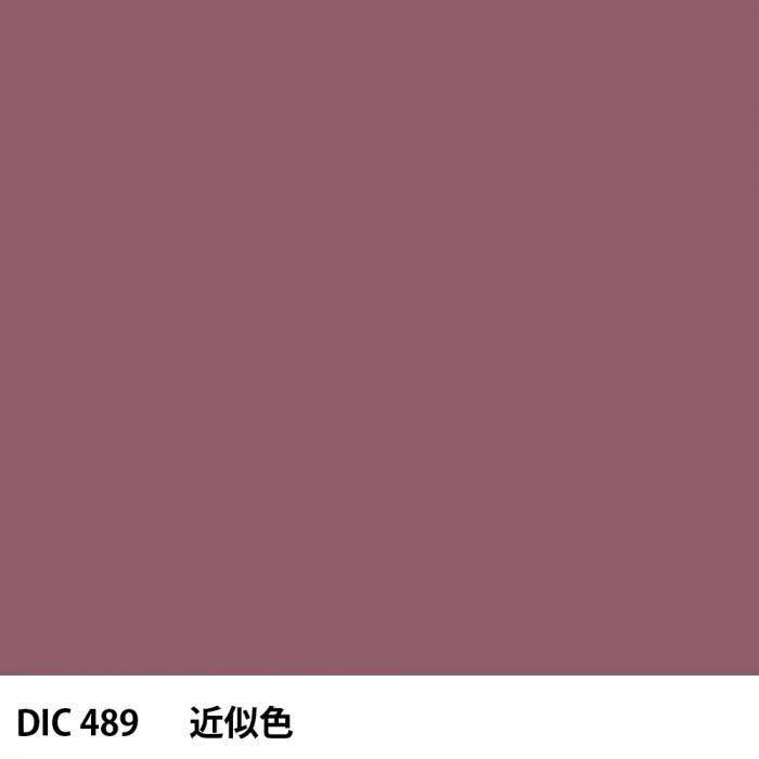  DIC 489 