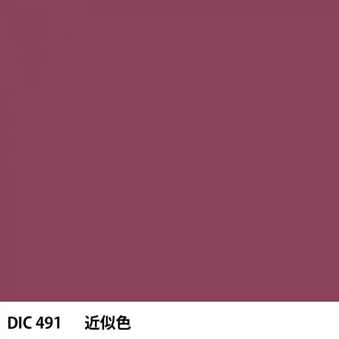  DIC 491 