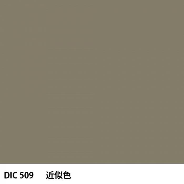  DIC 509 