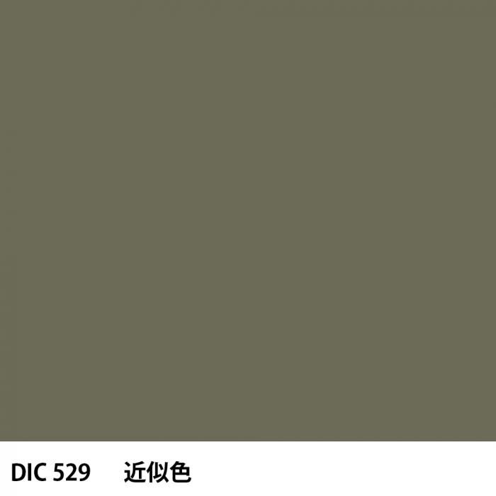  DIC 529 