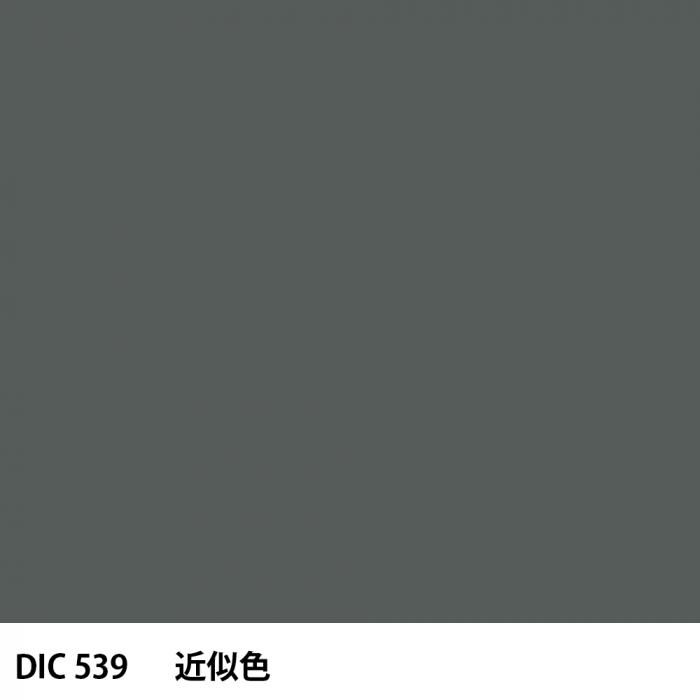  DIC 539 