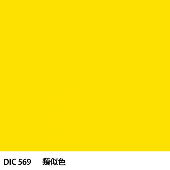  DIC 569 