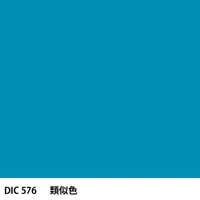  DIC 576 