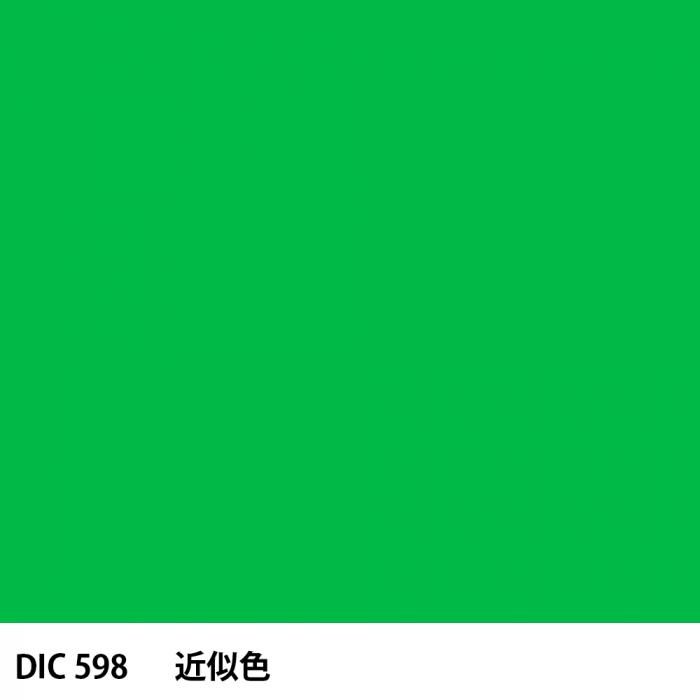  DIC 598 