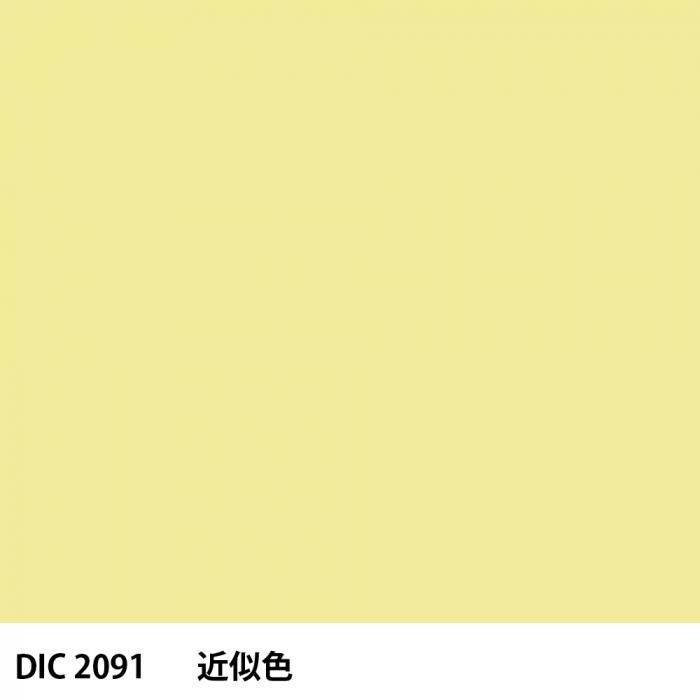  DIC 2091 