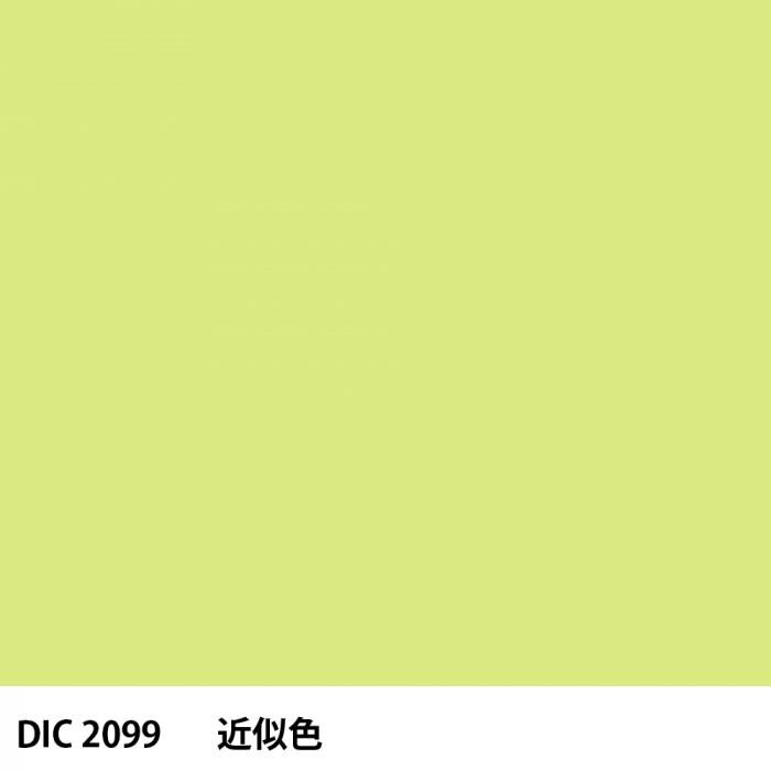  DIC 2099 