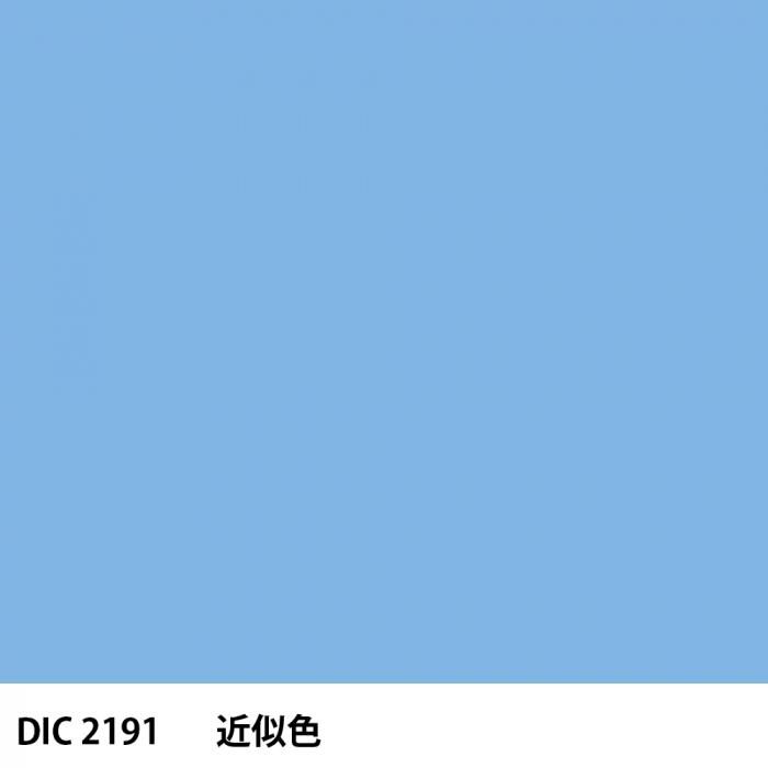  DIC 2191 
