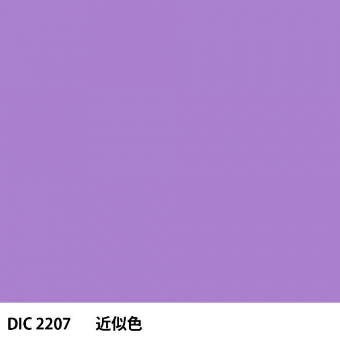  DIC 2207 