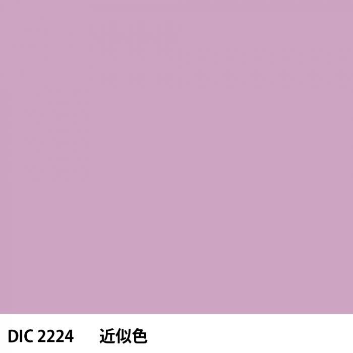  DIC 2224 