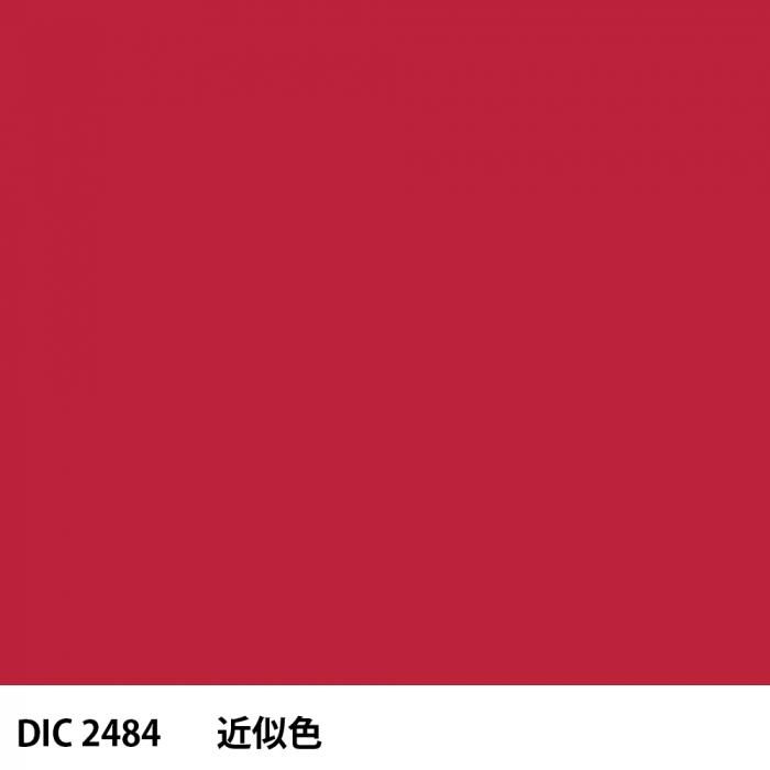  DIC 2484 