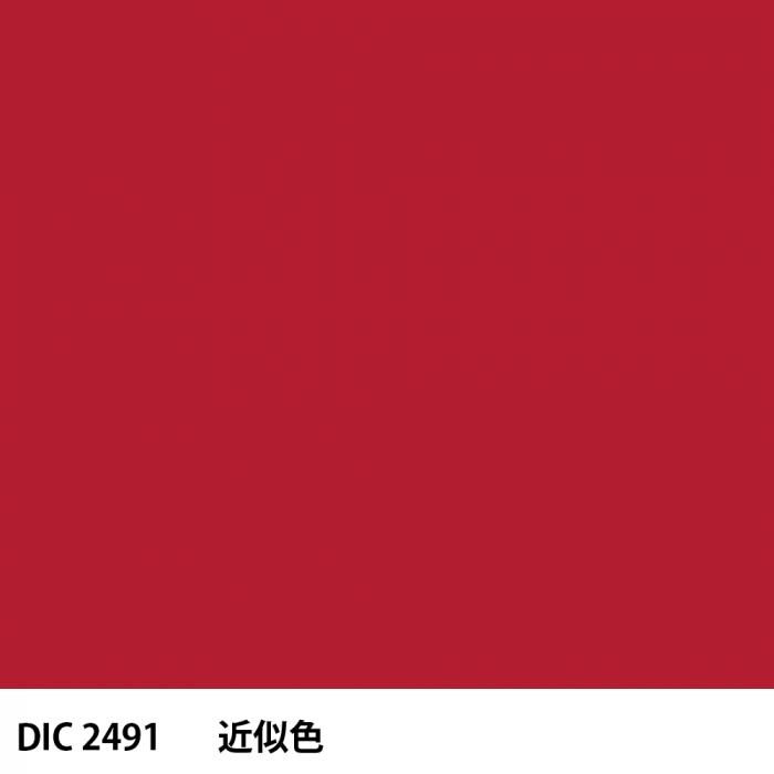  DIC 2491 