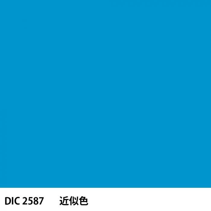  DIC 2587 