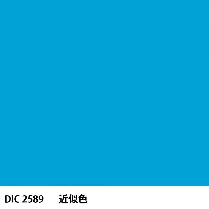 DIC 2589 