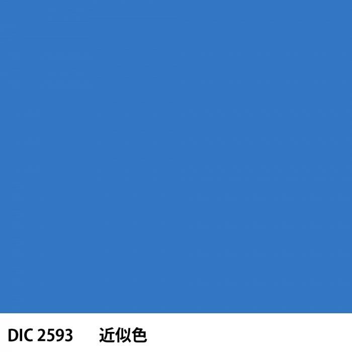  DIC 2593 