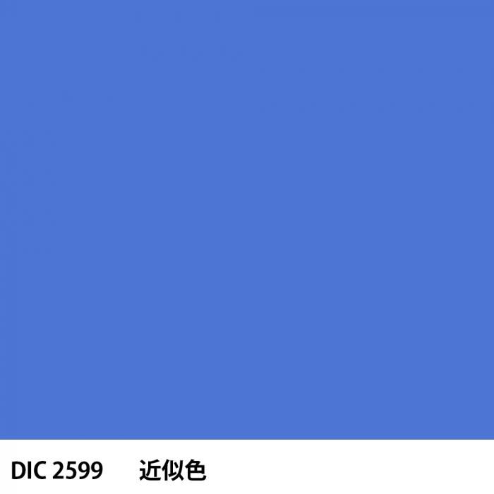  DIC 2599 