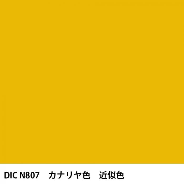  DIC ܤ N807 ʥ俧 