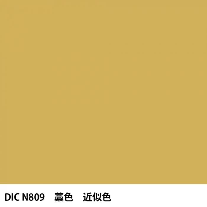  DIC ܤ N809 ο 