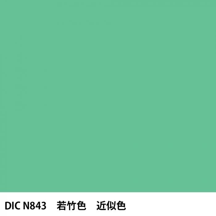  DIC ܤ N843 ݿ 