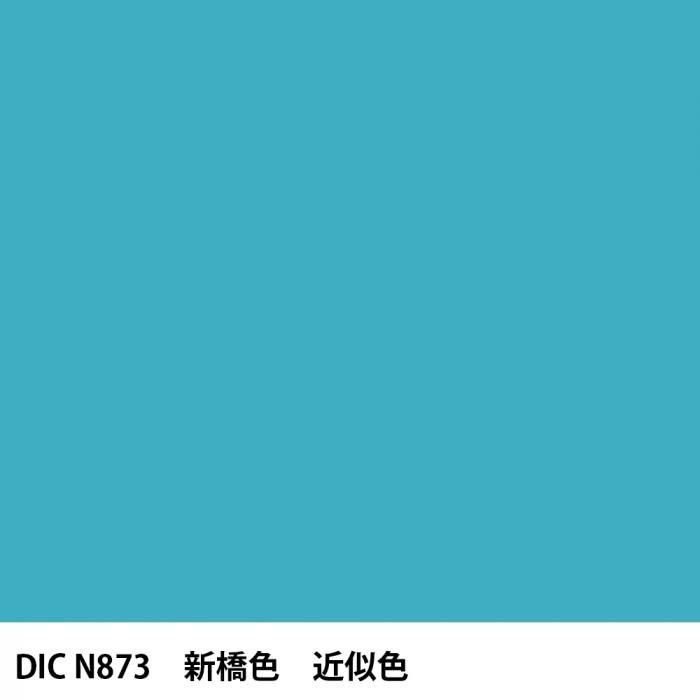  DIC ܤ N873  