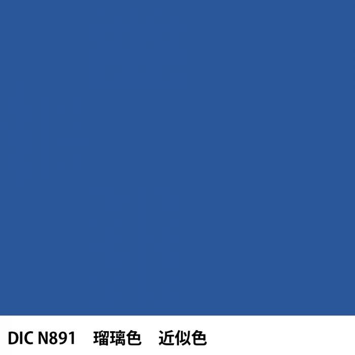  DIC ܤ N891  