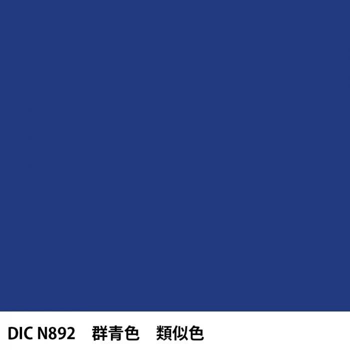  DIC ܤ N892 Ŀ 