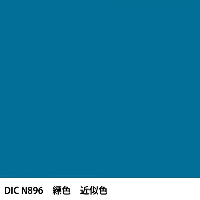  DIC ܤ N896 ݿ 