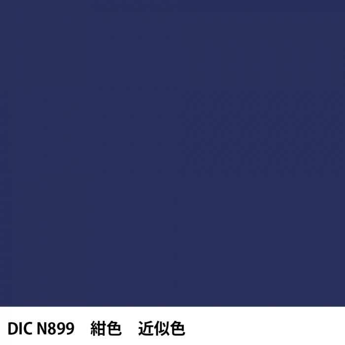  DIC ܤ N899  