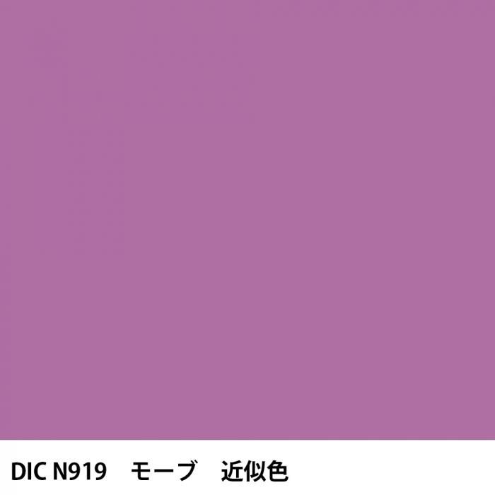  DIC ܤ N919 ⡼ 