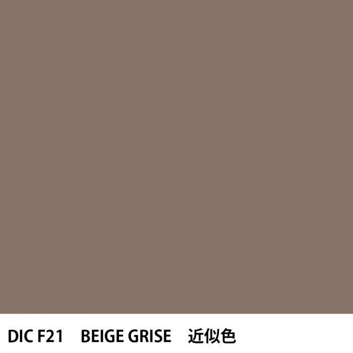  DIC ե󥹤 F21 BEIGE GRISE 