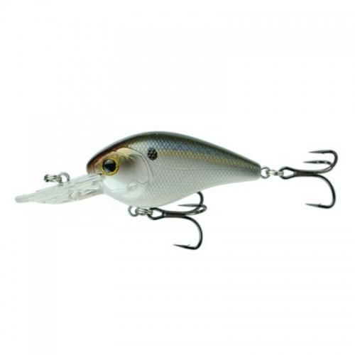 6th Sense/ Crush 250MD - Knoxville Online Shop