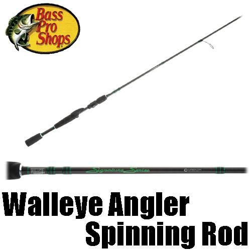 berkley amp spinning rod