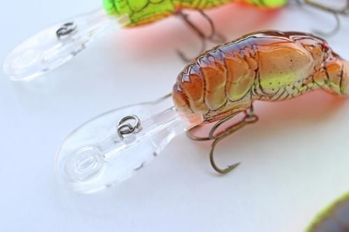 native　ネイティブ　シーガル　美品　RASHHURLEYBEWET nativeネイティブシーガル美品RASHHURLEYBEWET