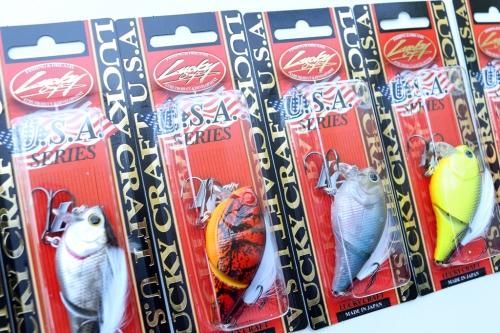 クジャラコイケ13㎜1way ワンウェイハイブリッドアソート5点セット クジャラ コイケ13ミリ 1way ワンウェイハイブリッド アソート 5